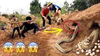 AK cartoon : A Snake Lay Eggs and ATTACKED GIRLS - 5 Brave Hunters Team Up to Confront it