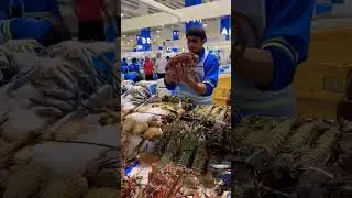 Dubai FISH Market  UAE🇦🇪 #viral #dubai #dubailife