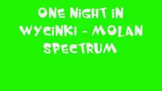One Night in Wycinki