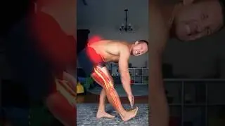 Lower Back Strength Routine | Strong & Pain-Free in 5 Minutes