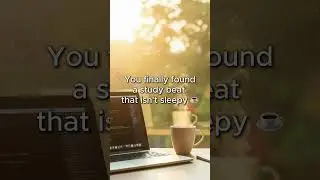 POV: You finally found the perfect study beat 📚 #lofi