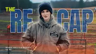 Horse Shelter Heroes | S6E2