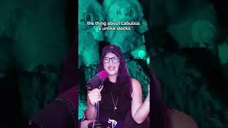Here's why LABUBUS are the BEST financial investment in 2025! 💵📈 #satire #tiktokpartner #labubu