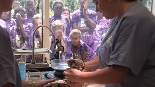 Virginia Zoo Animal Wellness Campus: Up Close & Personal