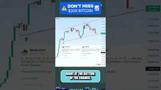 🤑 Who's PUMPING The Market #tether #shorts #usdt #bitcoin #btc