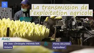 Agriculture : Le r&ocirc;le du notaire dans la transmission de l'exploitation agricole