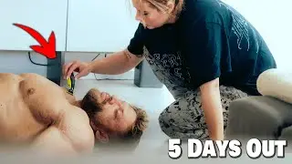 Die Peak Week beginnt - der Bär wird rasiert