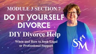DIY Divorce Help: When and How to Seek Legal or Professional Support | DIY Divorce Mod 3 Sec 7