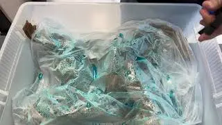 Watershed Modeling