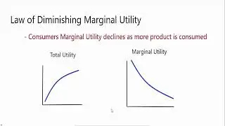 LAW OF DIMINISHING MARGINAL UTILITY