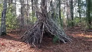 Bigfoot Structures In the Woods of Cape Cod!?!