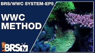 Ep5: Ryan's take on the WWC method - The BRS/WWC System