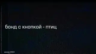 Бонд с кнопкой - Птиц (live, 17.10.2024, клуб 
