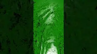 🍀falling leaf in forest🌲|forest |2d animation | Vara #shorts