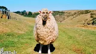 ZOMBIE ANIMALS are being raised on a farm but ALL of them are ESCAPE, turning PEOPLE into ANIMALS