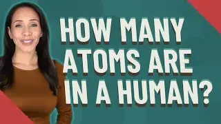 How many atoms are in a human?