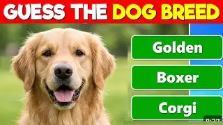 Guess the Dog Breed Quiz 🐾 | 100 Breeds Challenge