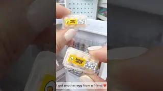 FILL THE FRIDGE FRIDAY - FRIDGE RESET ❤️#minibrands #minibrandsfillthefridge