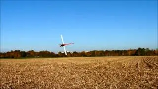 SAB Goblin 700 with only 6S and 1150 rpm - soft 3D