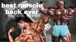 11 best strength traning exercises for muscle back strength