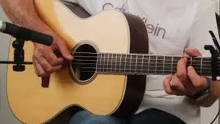 Greenriver Demo, Acoustic and Electric guitars