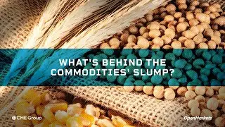 Economist Perspective: What&rsquo;s Behind the Commodities&rsquo; Slump?