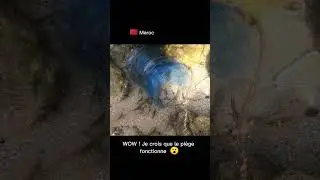 Pi&egrave;ge &agrave; poissons et crevettes 🐟🦐 Meilleure technique de survie