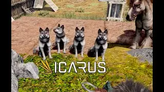 The Olympian, an Icarus story e47 - The four doggo of meatpocalypse
