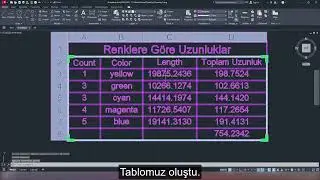 FARKLI RENKLERDEKİ POLYLİNE OBJELERİNİN RENKLERE G&Ouml;RE TOPLAMLARINI TABLO YAPMAK
