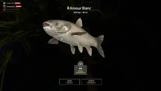 [RF4] Amour blanc &agrave; la bolognaise ma premi&egrave;re