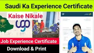 Saudi Ka Experience Certificate Kaise Nikale | Qiwa Service Certificate |Qiwa Employment Certificate