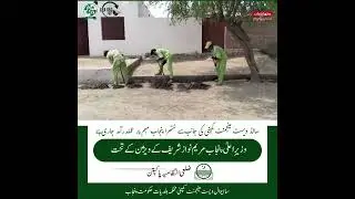 The Unsung Heroes of Pakpattan: Behind the Scenes of Suthra Punjab Waste Management  #suthrapunjab