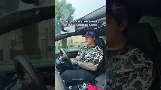 Просто прибавь громкость и сделай вид, что ничего не слышишь 😭