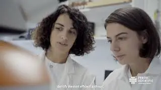 Prague Scientific - Inside Drug Development: Pre-formulation and drug substance development services