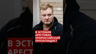 В Эстонии арестован пророссийский пропагандист