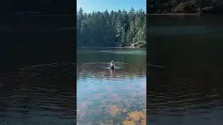 Camping at Honeyman