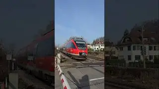 RB3️⃣0️⃣am Bahn&uuml;bergang Grenzach Deutschland🇩🇪#deutschebahn #dbregio #travel #zug #z&uuml;ge #shorts #yt