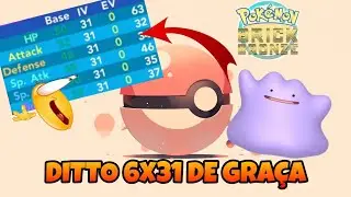 COMO CONSEGUIR DITTO 6X31 DE GRA&Ccedil;A NO POK&Eacute;MON BRICK BRONZE DO ROBLOX. DITTO 6X31 GR&Aacute;TIS NO PBB PBF