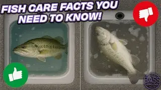 How do you keep bass alive? (ft. Steven Bardin, Barb Elliott, Josh Sakmar, and Gene Gilliland)