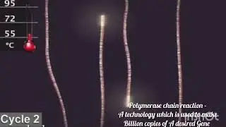 #biotechnology #pcr #gene#biology #neet #deep #science
