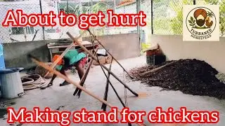 &ldquo;DIY Chicken Roosting Stand | How I Built a Desi Perch for My Chickens 🐔&rdquo;