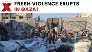 Gaza Violence: Ceasefire Fails to Halt Bloodshed in Gaza; 226 Dead, Hundreds Injured | NewsX
