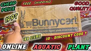 Cheap price aquatic plant 🌱 | how to buy aquarium plants online in cheap price | bunnycart plant
