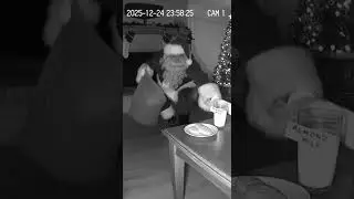 🎅📹 Santa Caught on CCTV&hellip; Gets MAD About Almond Milk 😭