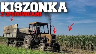 🌽KISZONKA 2024🌽|2xUrsus C360 3P & Ursus C360|John Deere 3350&3050|Claas Jaguar 840