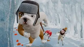 Animation shorts: Margo and Bun (DOG CARTOON PENGUIN) | Animated CARTOON\ МУЛЬТФИЛЬМ АНИМАЦИЯ