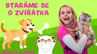 Dom&aacute;c&iacute; Mazl&iacute;čci P&iacute;snička - Zv&iacute;řec&iacute; P&iacute;snička - Prvn&iacute; slova - Z&aacute;bava s Pinkie