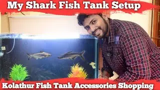 My First Shark Fish Tank Setup | Kolathur Fish Tank Accessories Shopping Tour | Shark Aquarium Setup
