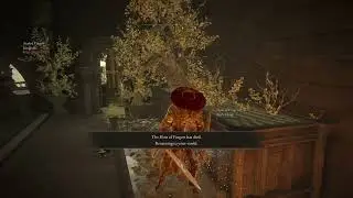 random elden ring fails and highlights