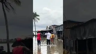 😱Serpent qui pourchasse sur rivière